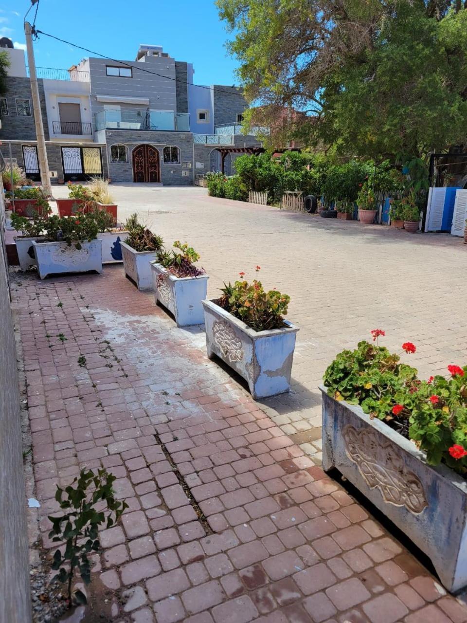 Imi Ouaddar Apartment Just Steps From The Beach Agadir n'Ait Sa Bagian luar foto